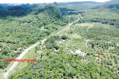 1203_dji_fly_20230920_122334_819_1696255024462_photo_optimized