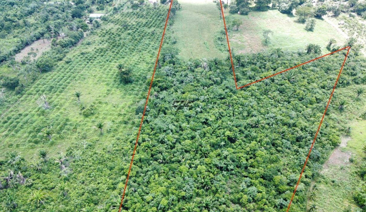 1203_dji_fly_20230920_122608_828_1696254952445_photo_optimized