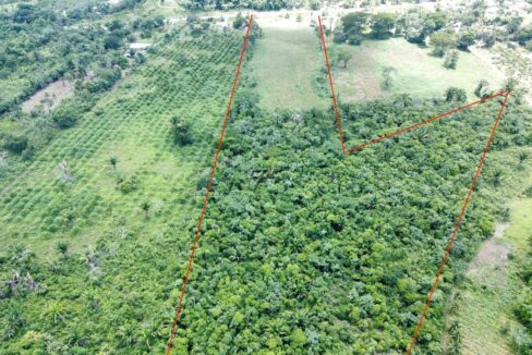 1203_dji_fly_20230920_122608_828_1696254952445_photo_optimized
