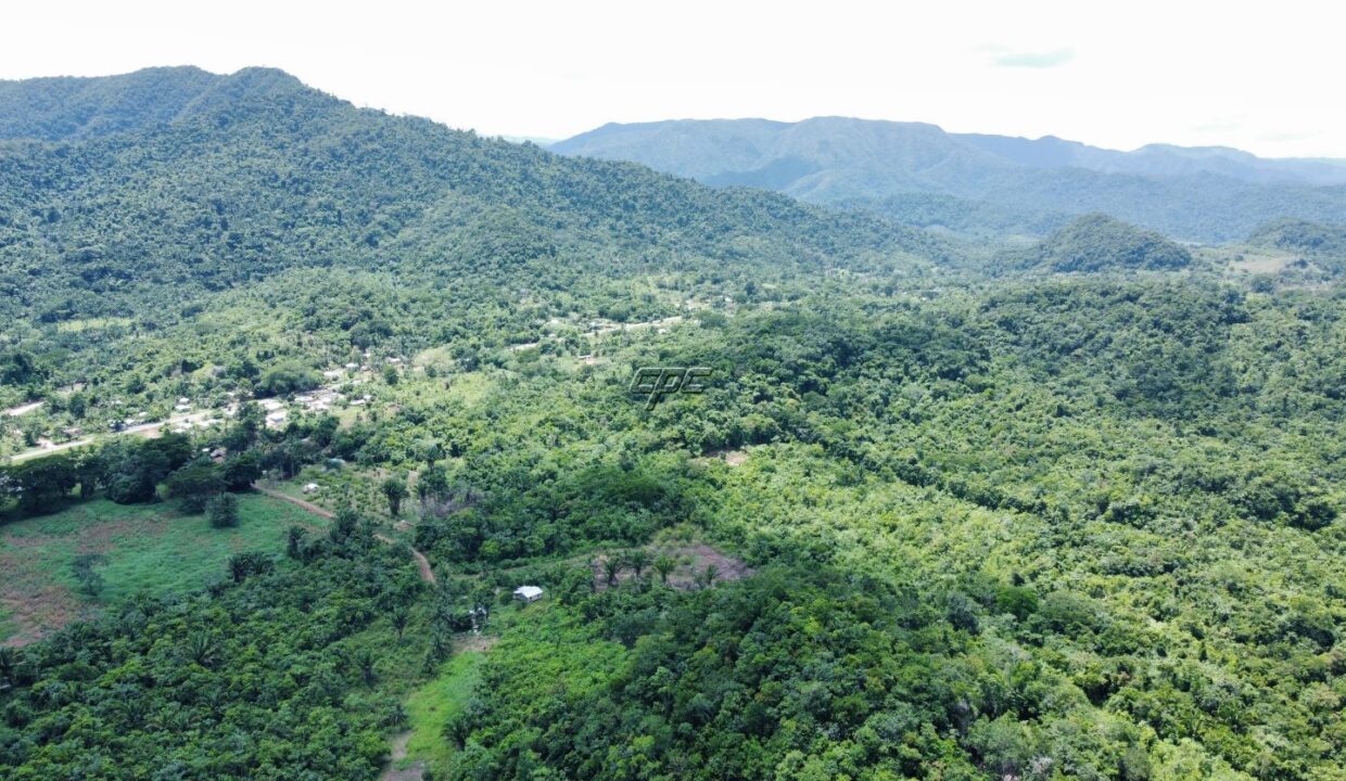 1203_dji_fly_20230920_122634_832_1696254947596_photo_optimized