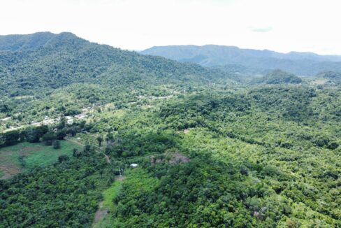 1203_dji_fly_20230920_122634_832_1696254947596_photo_optimized