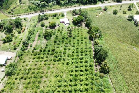 1203_dji_fly_20230920_122802_834_1696254896547_photo_optimized