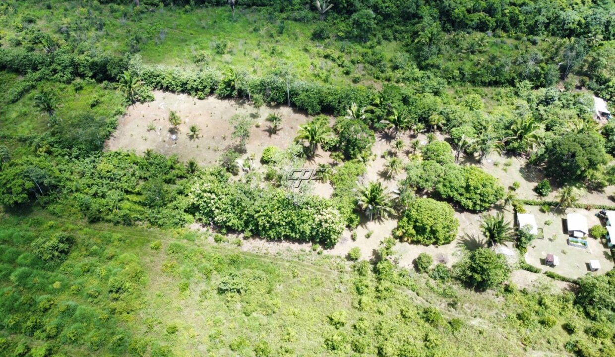 1203_dji_fly_20230920_122804_835_1696254895427_photo_optimized