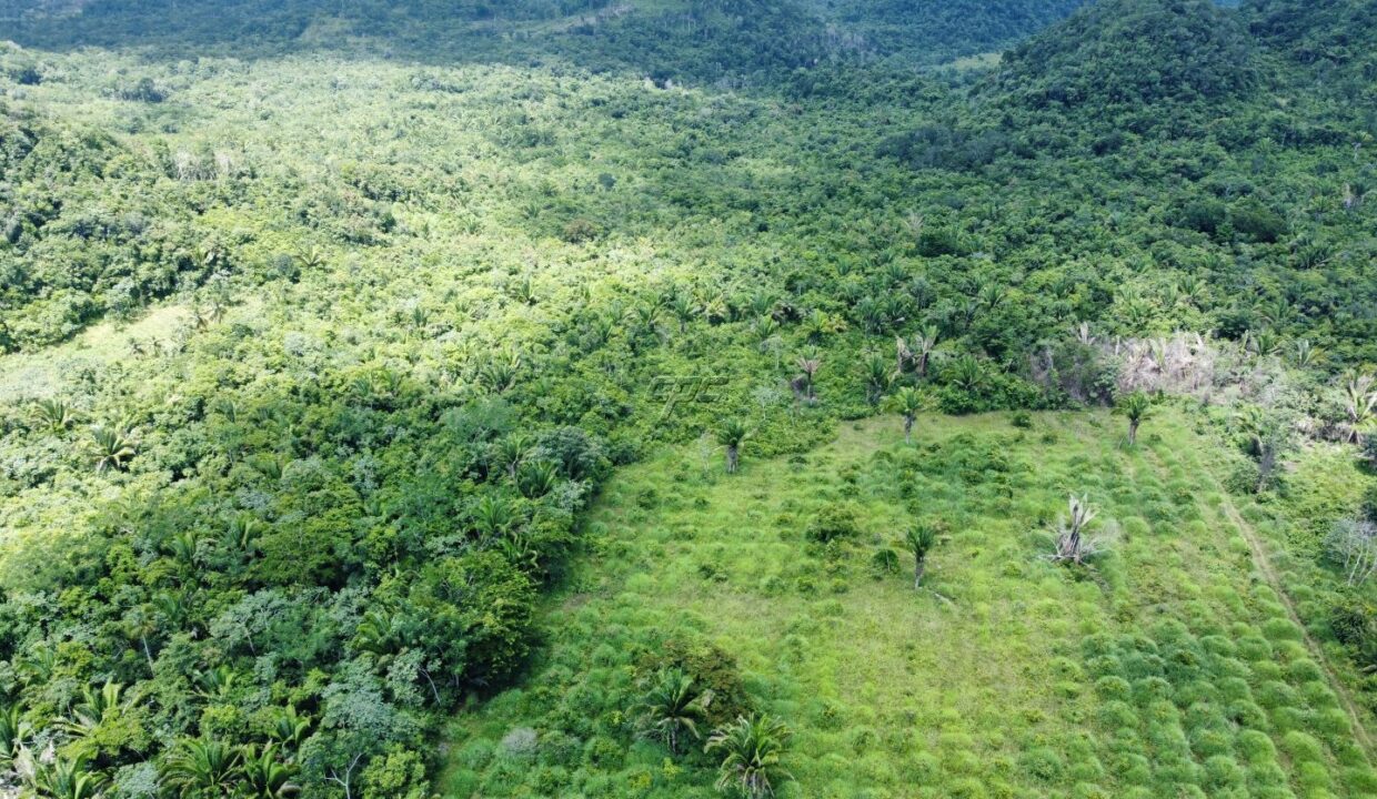 1203_dji_fly_20230920_122810_836_1696254893882_photo_optimized