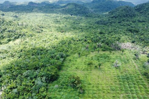 1203_dji_fly_20230920_122810_836_1696254893882_photo_optimized