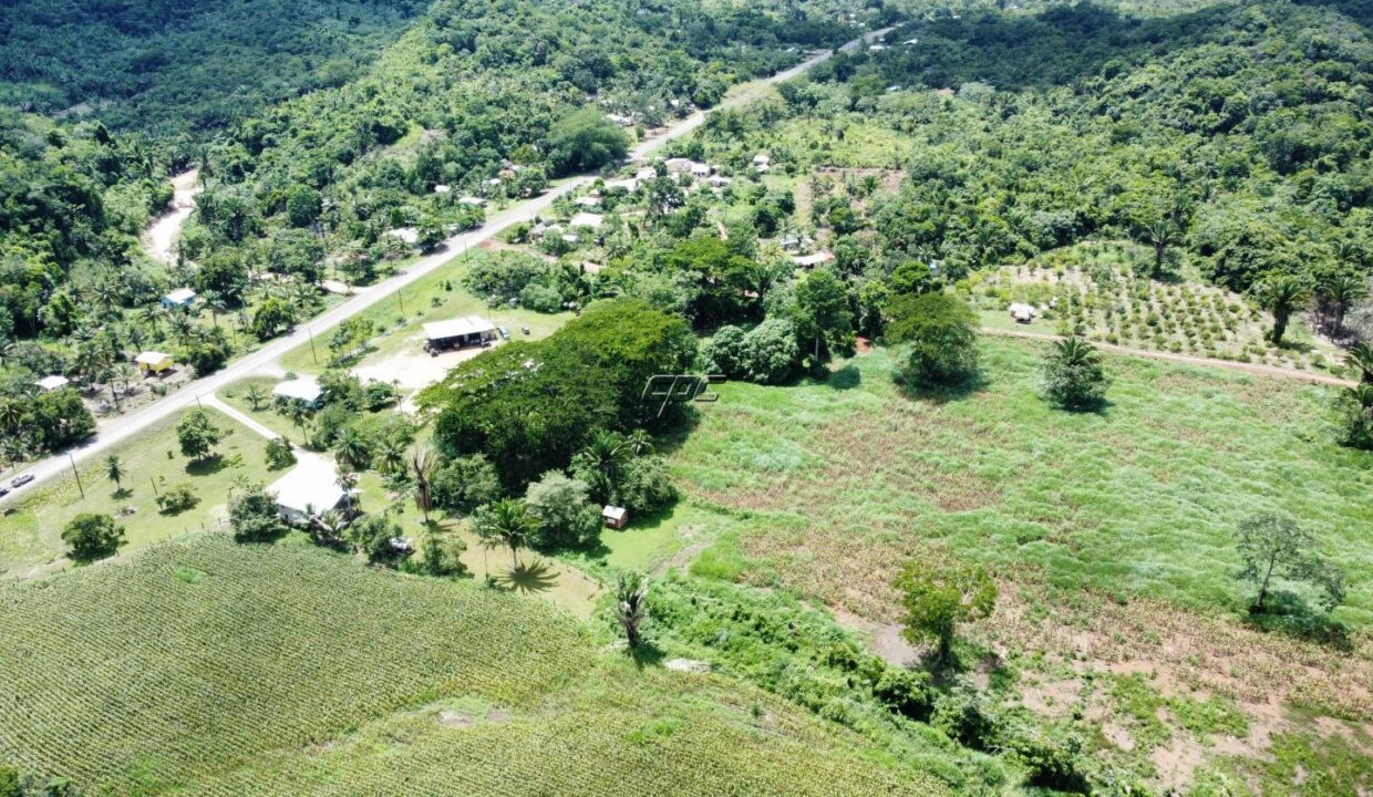 1203_dji_fly_20230920_122812_837_1696254892114_photo_optimized