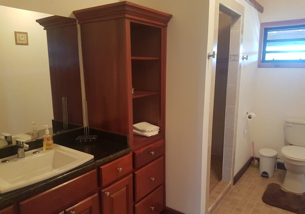 1778_8masterbathroom