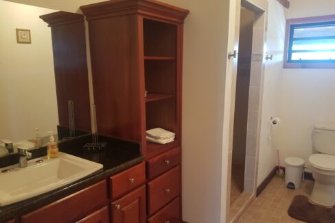 1778_8masterbathroom