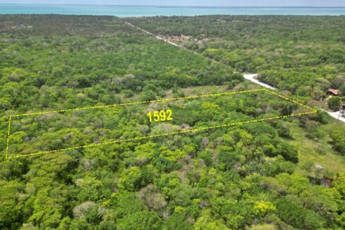 2.8-Acres-Serenity-Road-2-1170x760