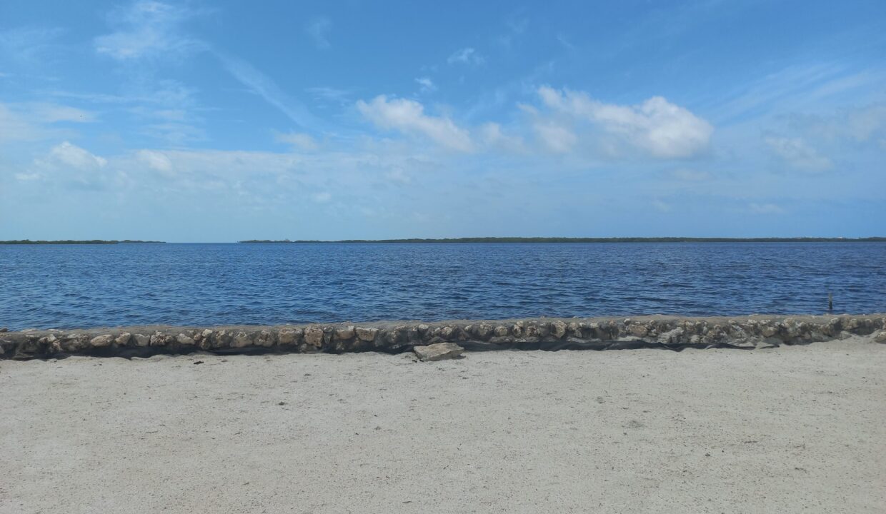 20230705_125003-scaled
