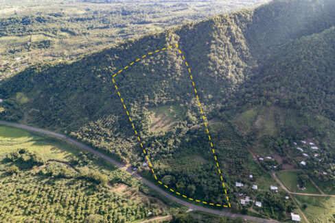 2620Acres20Hummingbird20Highway20Middlesex2003