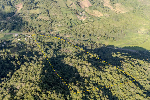 2620Acres20Hummingbird20Highway20Middlesex2011