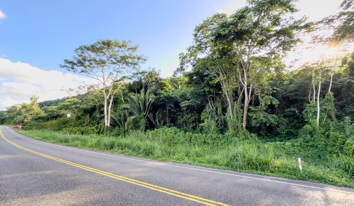 2620Acres20Hummingbird20Highway20Middlesex2015