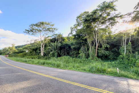 2620Acres20Hummingbird20Highway20Middlesex2015