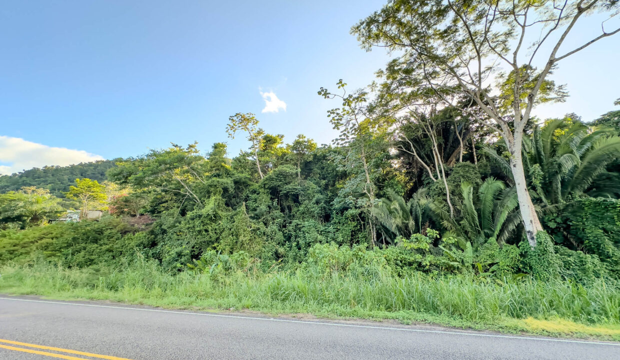 2620Acres20Hummingbird20Highway20Middlesex2016