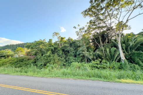 2620Acres20Hummingbird20Highway20Middlesex2016