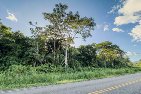 2620Acres20Hummingbird20Highway20Middlesex2018