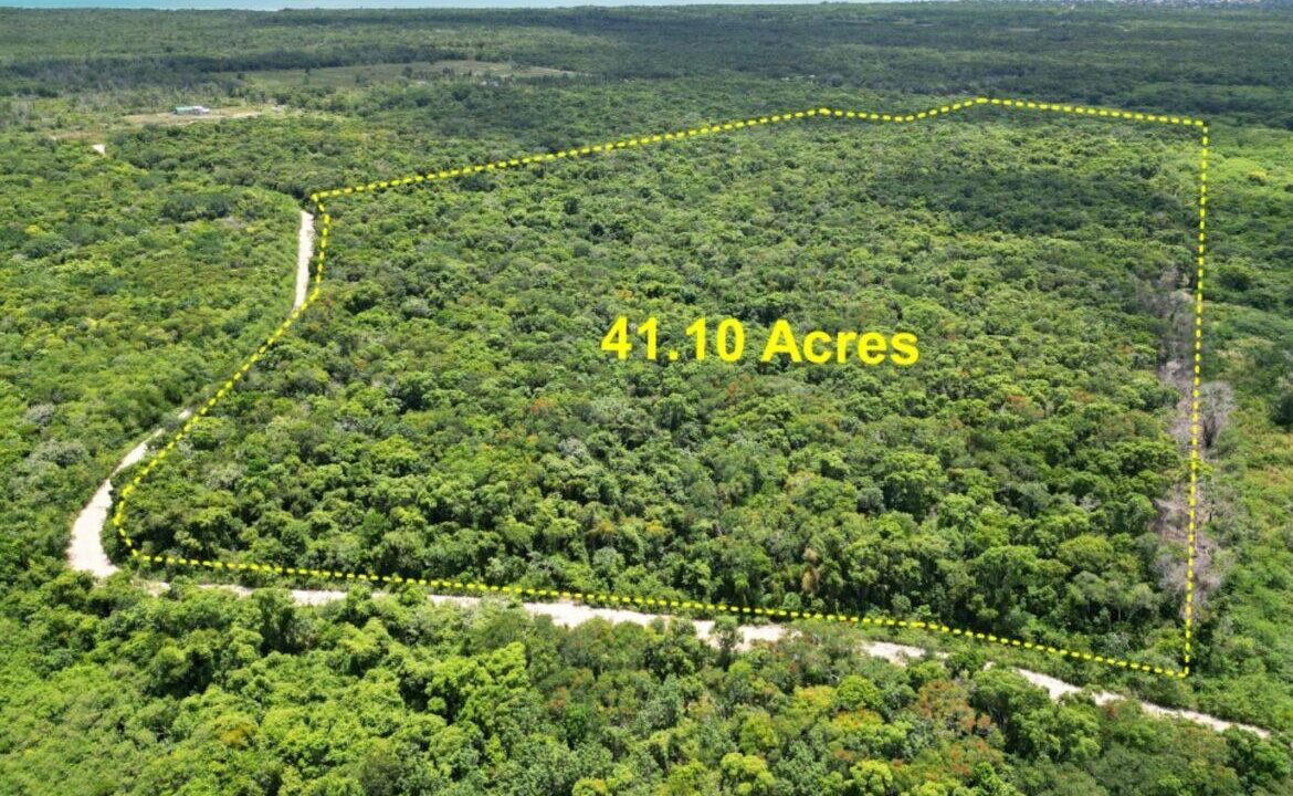 41.10-acres-rancho-tres-palmas5-1170x760