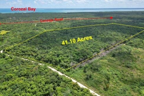 41.10-acres-rancho-tres-palmas6-1170x760