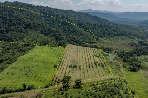 4520Acres20Hillside20Orchards20Billy20Barquedier20Creek20Hummingbird20Highway2002