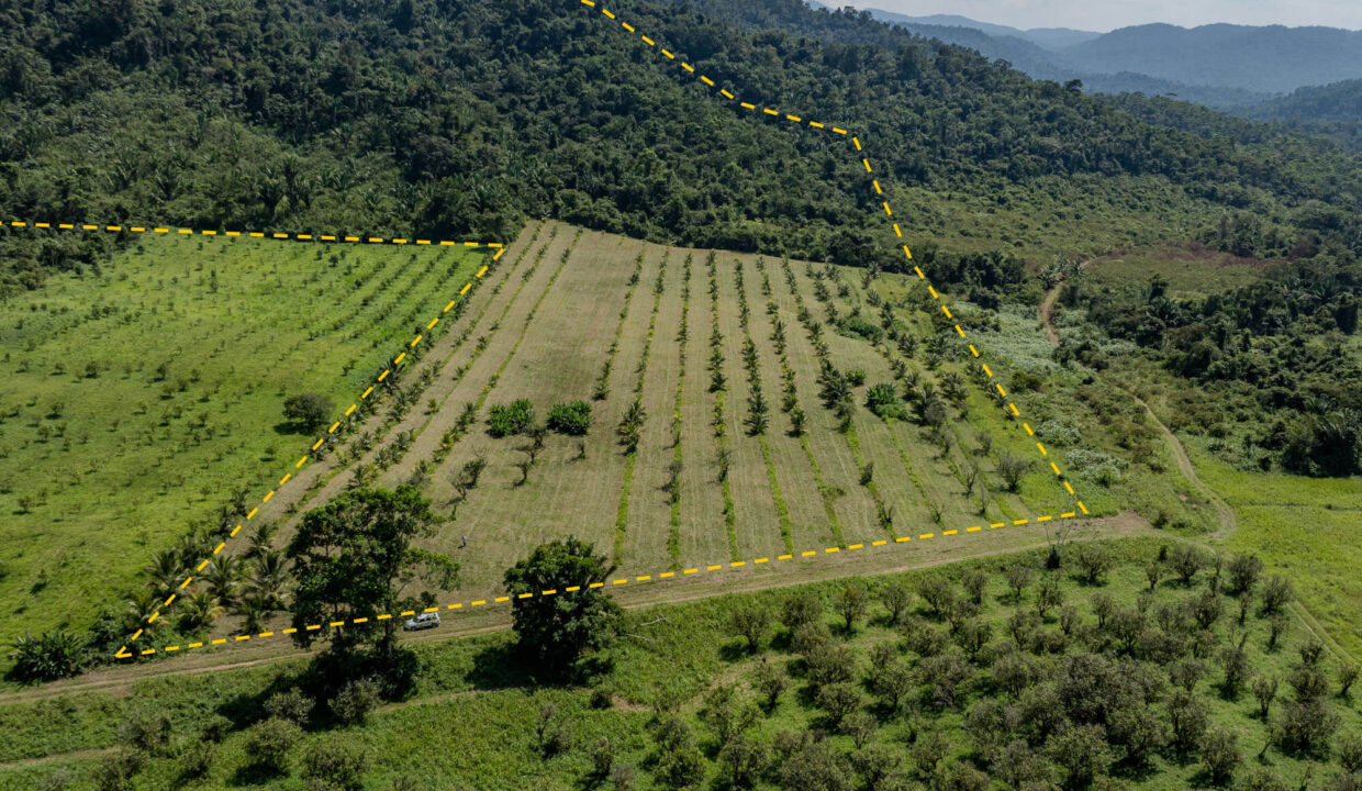 4520Acres20Hillside20Orchards20Billy20Barquedier20Creek20Hummingbird20Highway2003