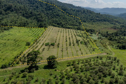4520Acres20Hillside20Orchards20Billy20Barquedier20Creek20Hummingbird20Highway2003