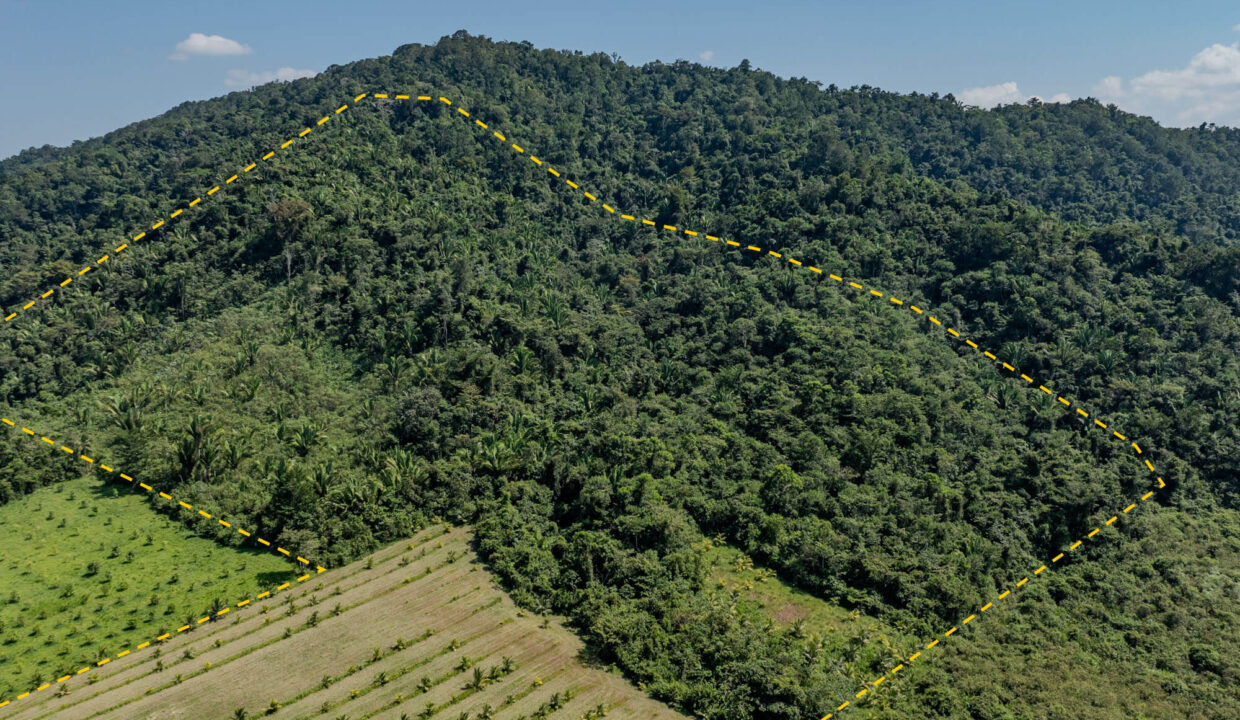 4520Acres20Hillside20Orchards20Billy20Barquedier20Creek20Hummingbird20Highway2004