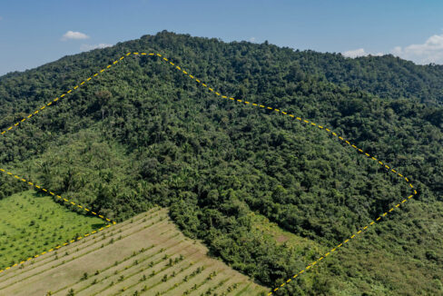 4520Acres20Hillside20Orchards20Billy20Barquedier20Creek20Hummingbird20Highway2004