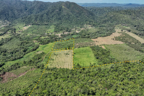4520Acres20Hillside20Orchards20Billy20Barquedier20Creek20Hummingbird20Highway2005