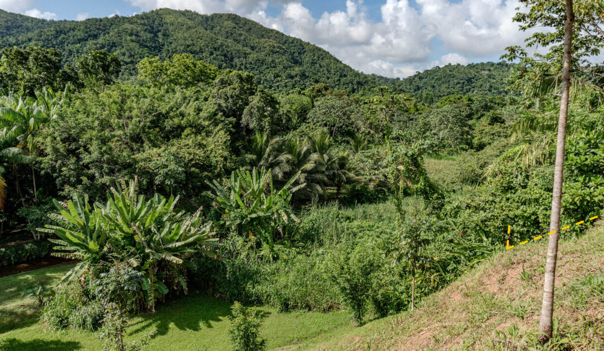 4520Acres20Hillside20Orchards20Billy20Barquedier20Creek20Hummingbird20Highway2006