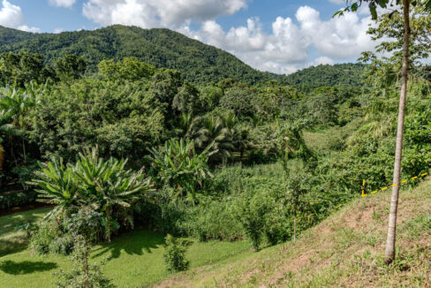 4520Acres20Hillside20Orchards20Billy20Barquedier20Creek20Hummingbird20Highway2006