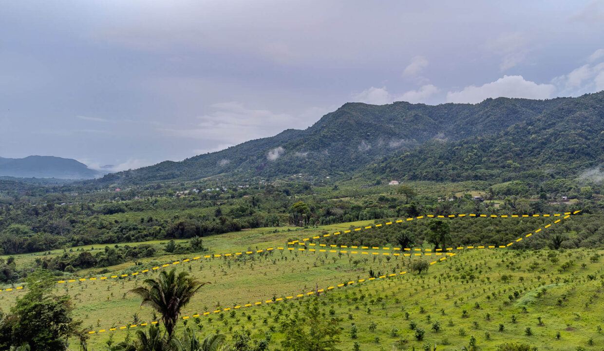 4520Acres20Hillside20Orchards20Billy20Barquedier20Creek20Hummingbird20Highway2010