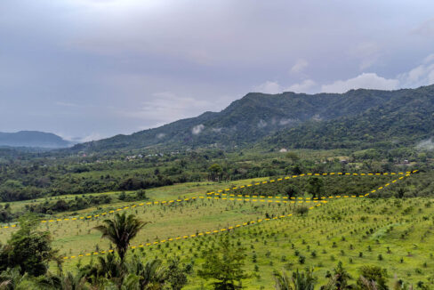 4520Acres20Hillside20Orchards20Billy20Barquedier20Creek20Hummingbird20Highway2010