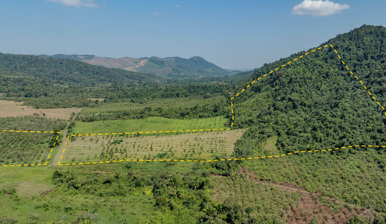 4520Acres20Hillside20Orchards20Billy20Barquedier20Creek20Hummingbird20Highway2011