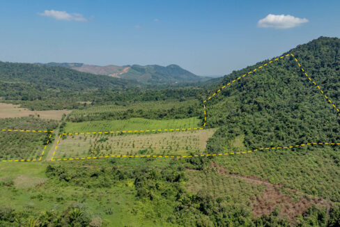4520Acres20Hillside20Orchards20Billy20Barquedier20Creek20Hummingbird20Highway2011