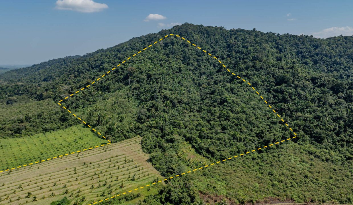4520Acres20Hillside20Orchards20Billy20Barquedier20Creek20Hummingbird20Highway2012