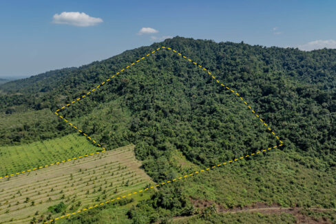 4520Acres20Hillside20Orchards20Billy20Barquedier20Creek20Hummingbird20Highway2012