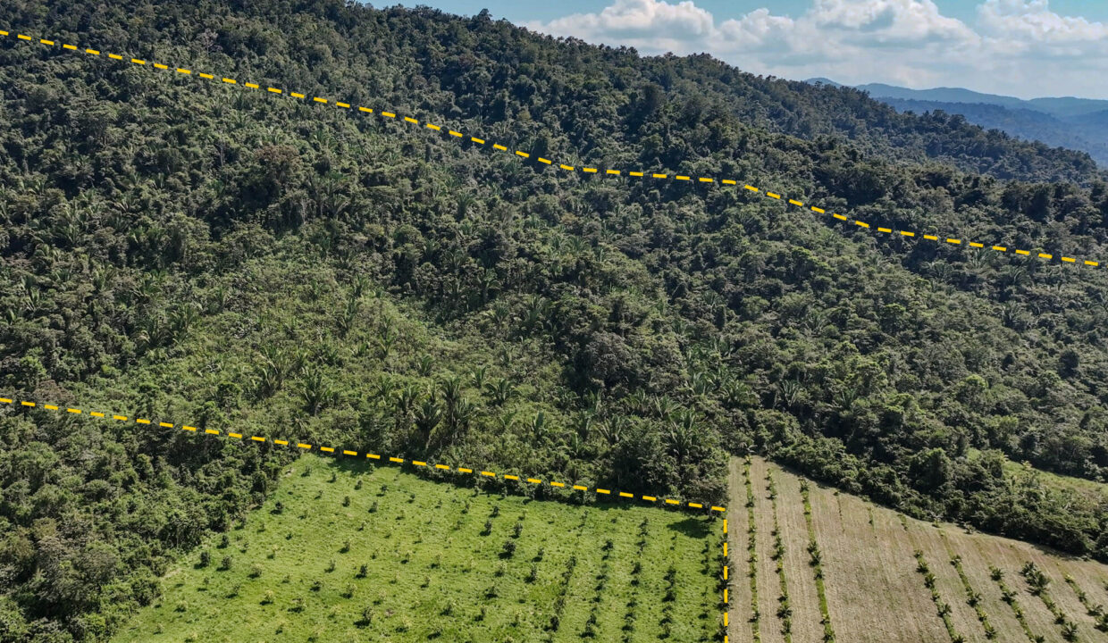 4520Acres20Hillside20Orchards20Billy20Barquedier20Creek20Hummingbird20Highway2013