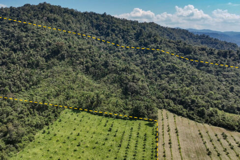 4520Acres20Hillside20Orchards20Billy20Barquedier20Creek20Hummingbird20Highway2013