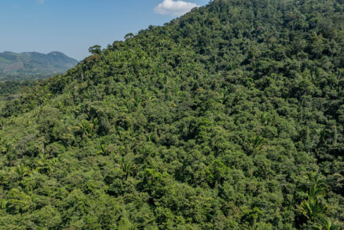 4520Acres20Hillside20Orchards20Billy20Barquedier20Creek20Hummingbird20Highway2014