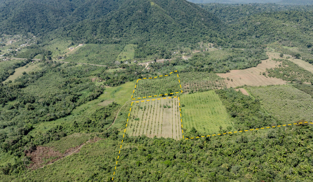 4520Acres20Hillside20Orchards20Billy20Barquedier20Creek20Hummingbird20Highway2015
