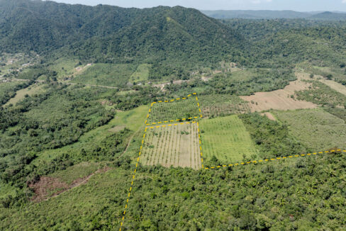 4520Acres20Hillside20Orchards20Billy20Barquedier20Creek20Hummingbird20Highway2015
