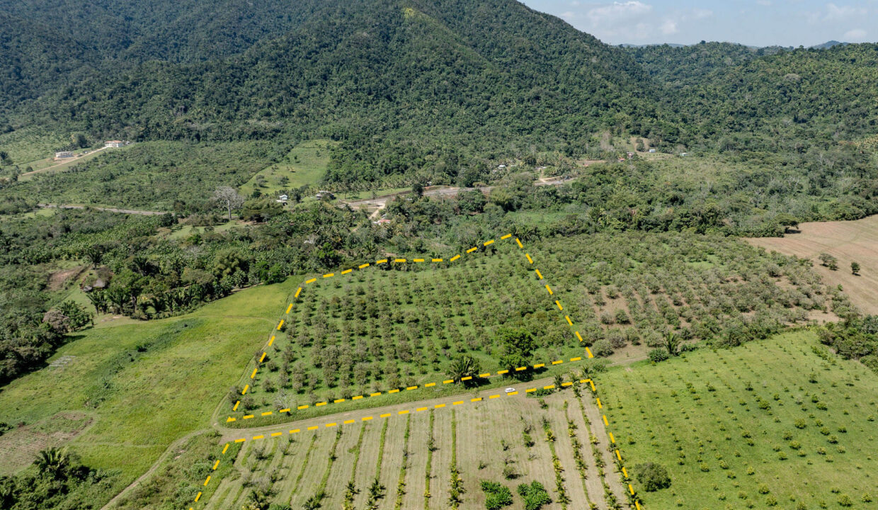 4520Acres20Hillside20Orchards20Billy20Barquedier20Creek20Hummingbird20Highway2016