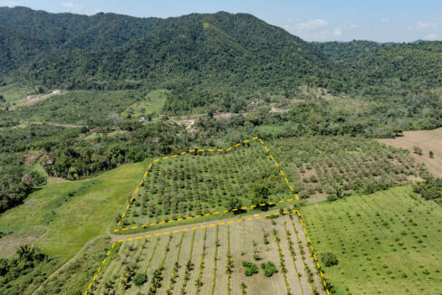4520Acres20Hillside20Orchards20Billy20Barquedier20Creek20Hummingbird20Highway2016