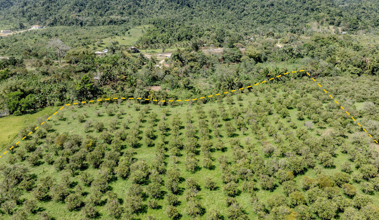 4520Acres20Hillside20Orchards20Billy20Barquedier20Creek20Hummingbird20Highway2017