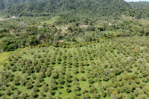 4520Acres20Hillside20Orchards20Billy20Barquedier20Creek20Hummingbird20Highway2017