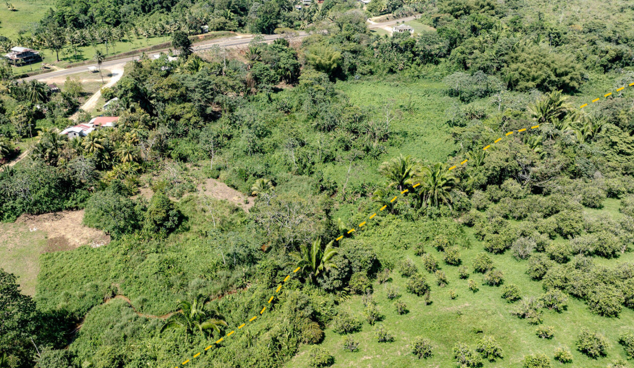 4520Acres20Hillside20Orchards20Billy20Barquedier20Creek20Hummingbird20Highway2018