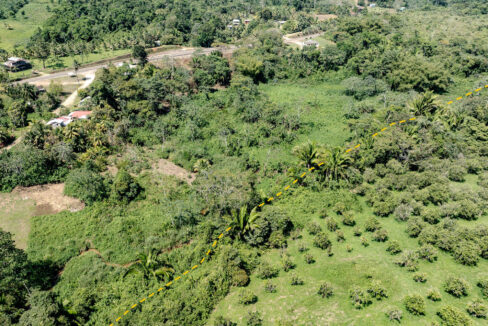 4520Acres20Hillside20Orchards20Billy20Barquedier20Creek20Hummingbird20Highway2018