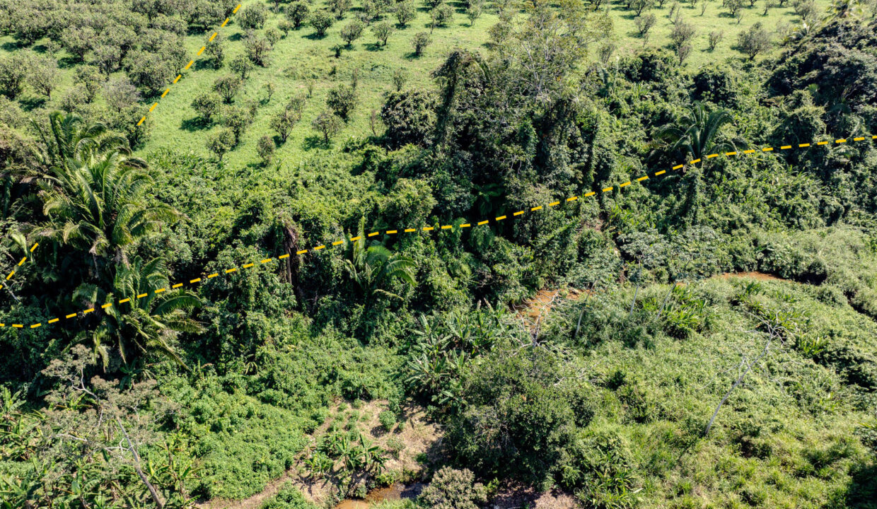 4520Acres20Hillside20Orchards20Billy20Barquedier20Creek20Hummingbird20Highway2019