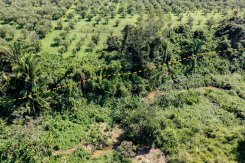 4520Acres20Hillside20Orchards20Billy20Barquedier20Creek20Hummingbird20Highway2019